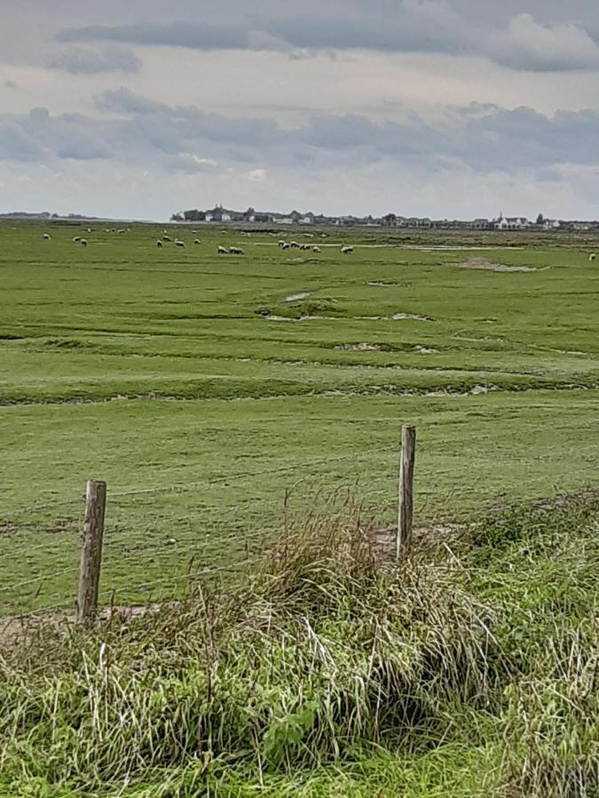 Les Obiones, Vue Laterale Mer, Fort Mahon Plage, Magnifique Studio Cabine 4P, Avec Balcon , Parking Prive Gratuit, Wifi, Classe 2 Etoiles, Exposition Plein Sud En Baie De Somme מראה חיצוני תמונה